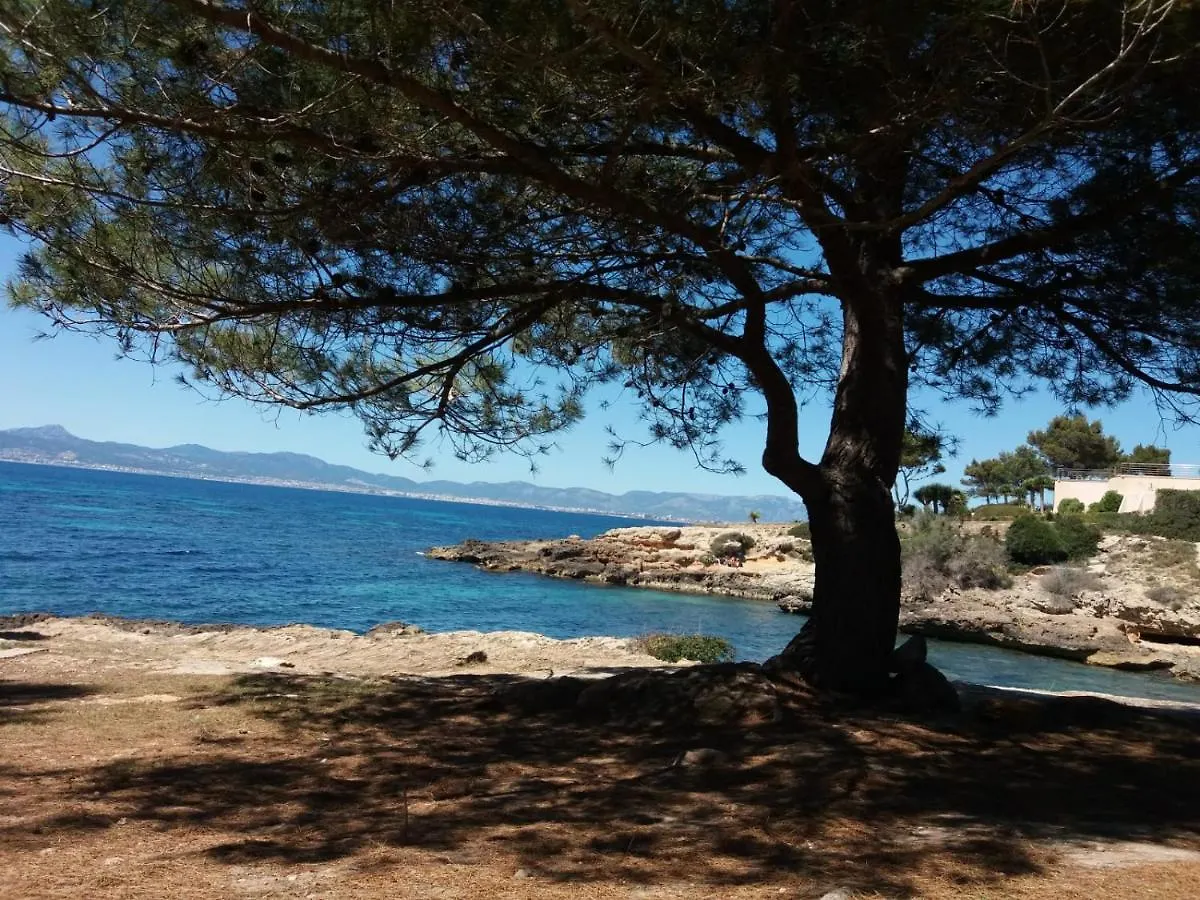 Villa Son Verano Llucmajor   Llucmajor (Mallorca)
